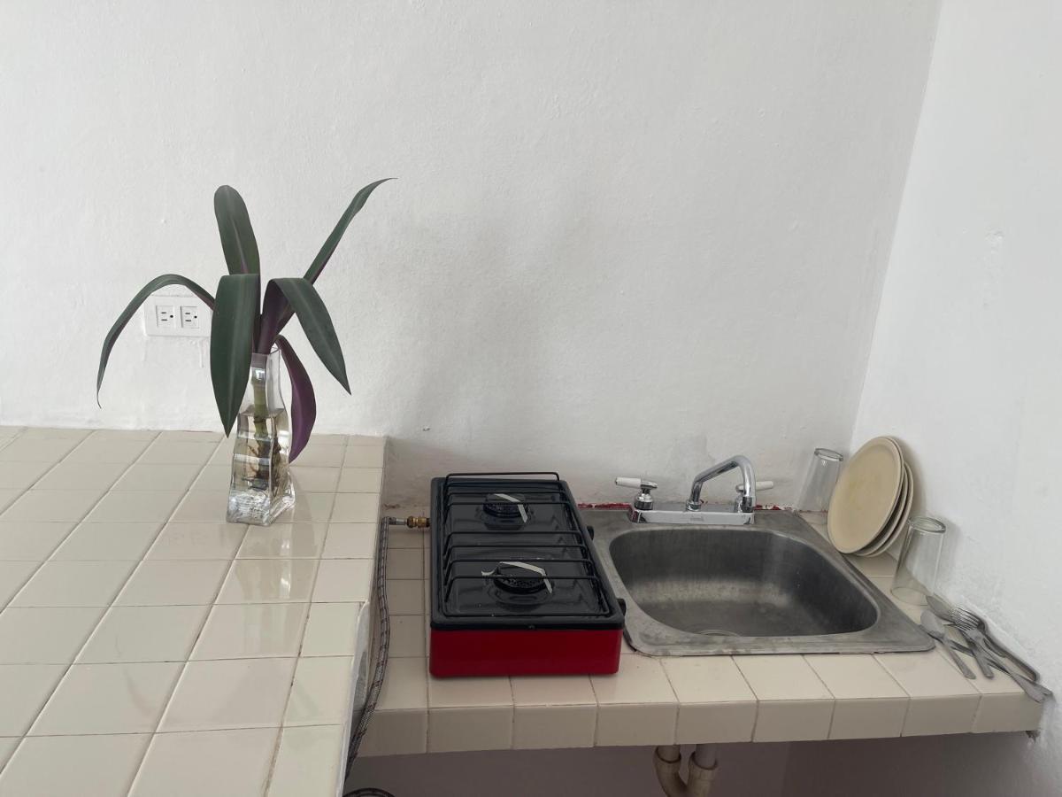 Apartamentos Cupules 梅里达 外观 照片